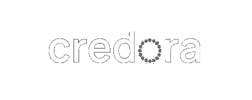 https://modul8.dev/wp-content/uploads/2024/07/credora.png